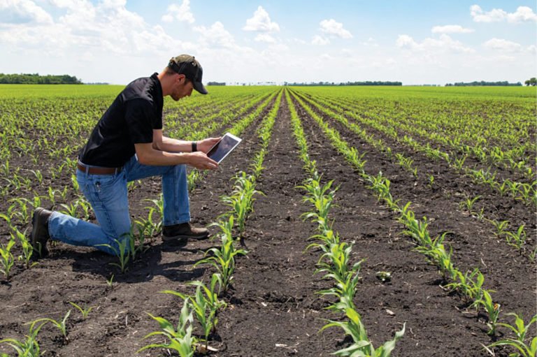 Digital transformation in Agricultural
