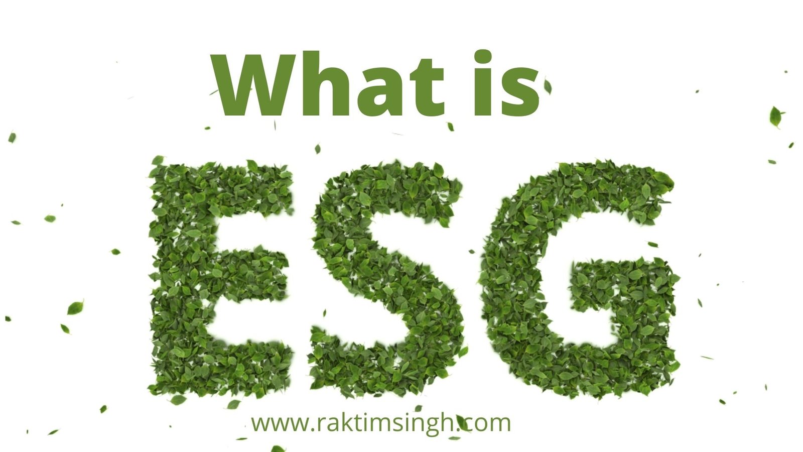 What is ESG